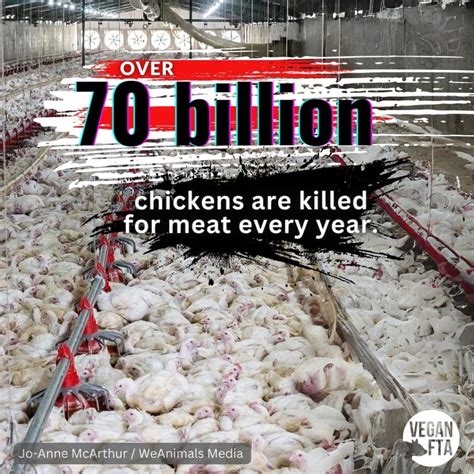 what percent of animals are on factory farms compassion